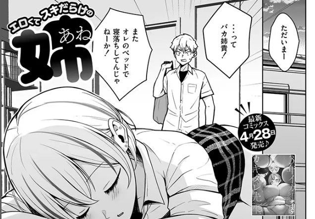 ［エロくてスキだらけの姉］ヂイスケ