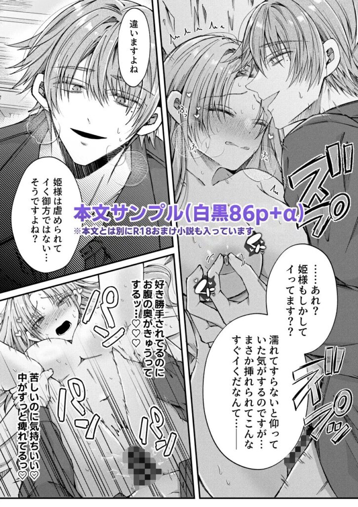 姫様に忠誠を誓ったはずの軍人は、逆に誓いを求める狂犬になりました［はとペア］