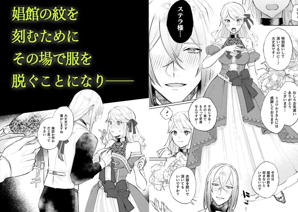 ［墜下の輝星］ChuChuメルト商会