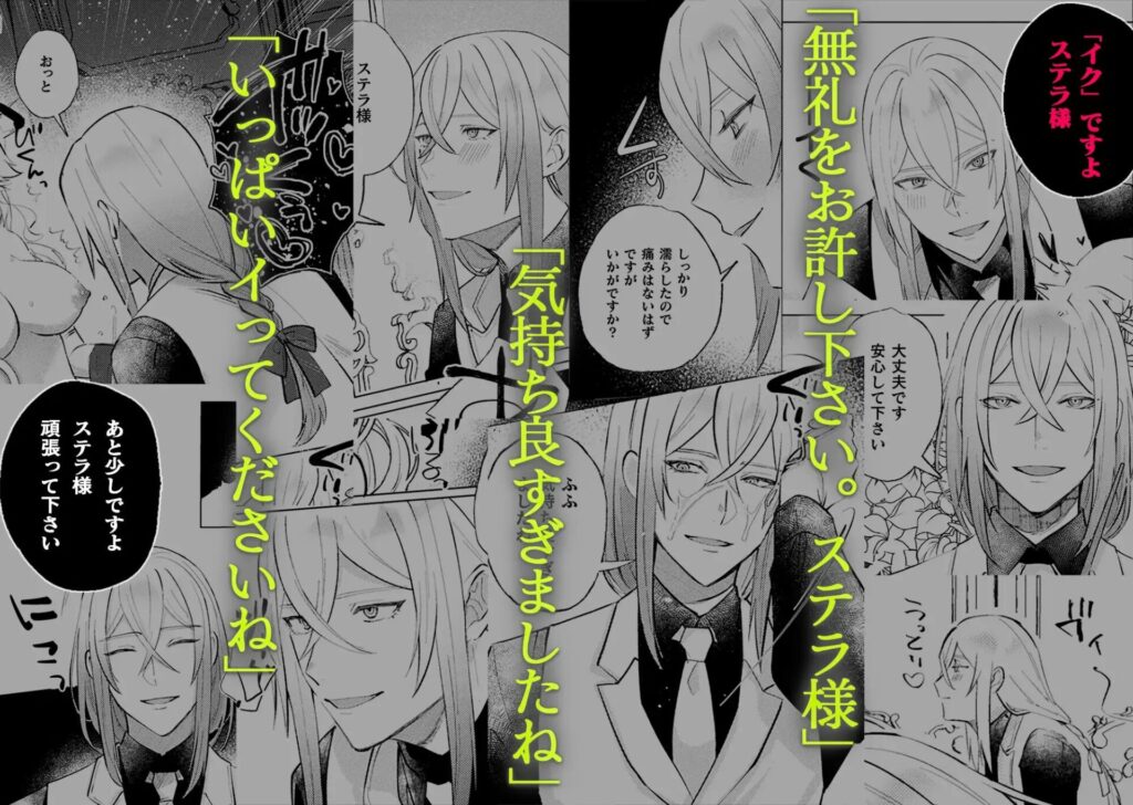 ［墜下の輝星］ChuChuメルト商会