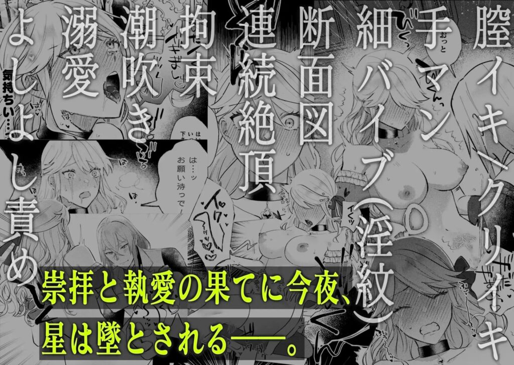 ［墜下の輝星］ChuChuメルト商会