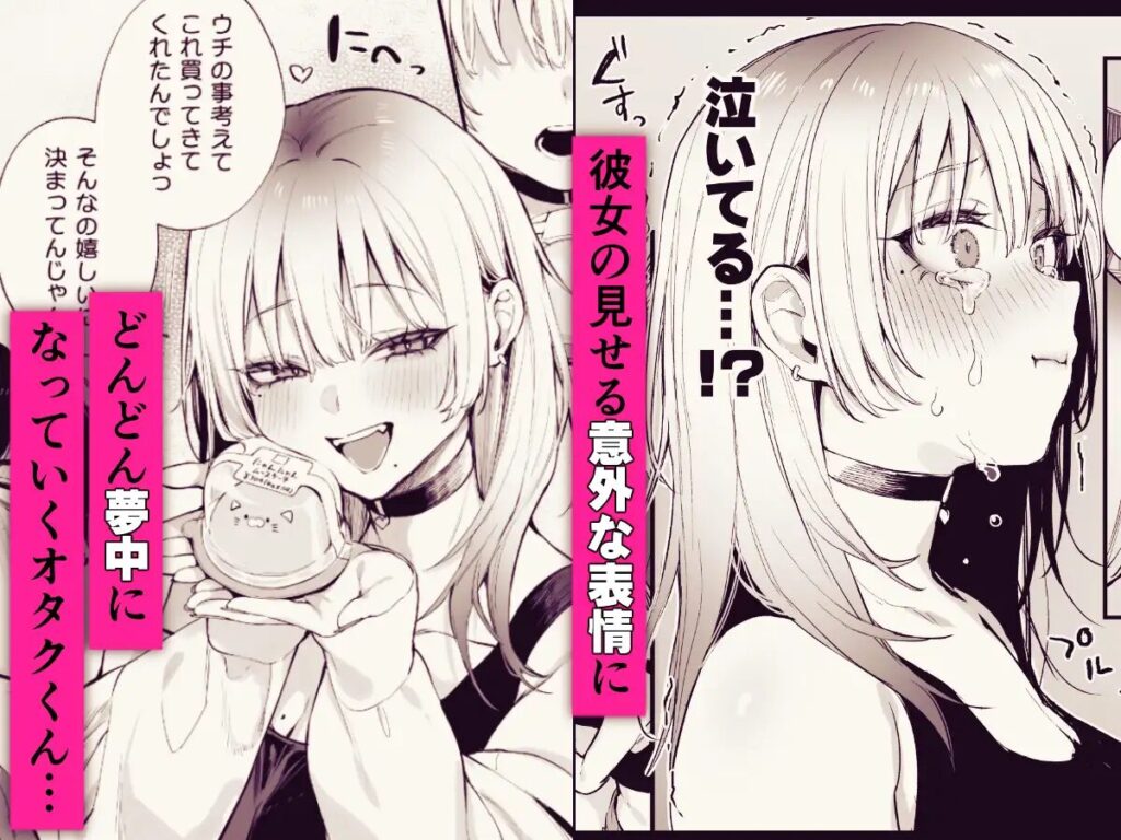 ［一晩泊めてよ、オタクくん］だにまる