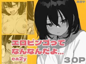 ［エロビンゴってなんなんだよ…ea2y］あきや