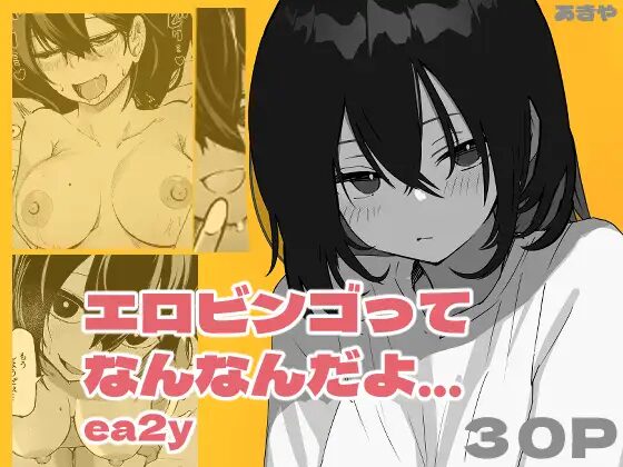 ［エロビンゴってなんなんだよ…ea2y］あきや