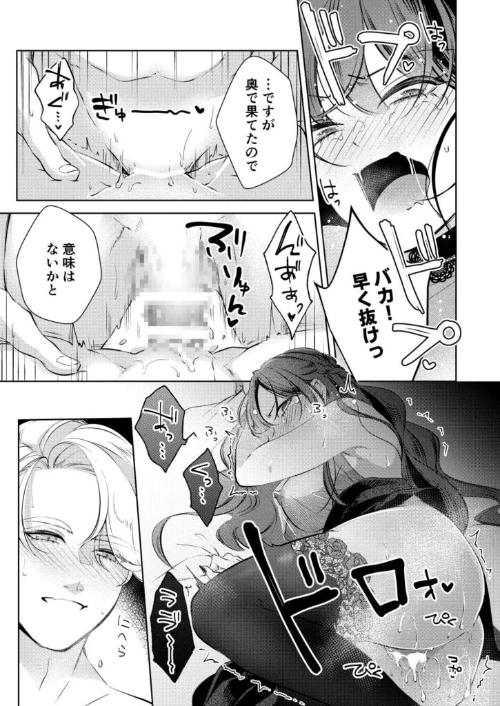 ［聖騎士の淫情］KOMAOTO