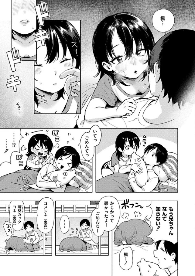 ［箱庭のラブコール］あんのみけ