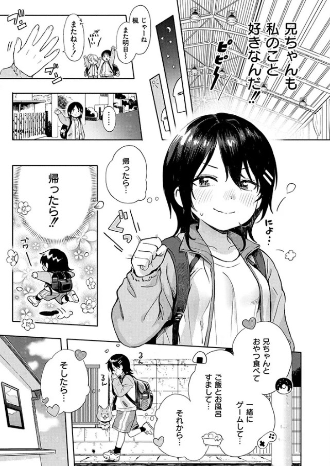 ［箱庭のラブコール］あんのみけ