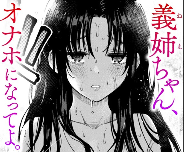 ［義姉ちゃん、オナホになってよ。前編］どじろー