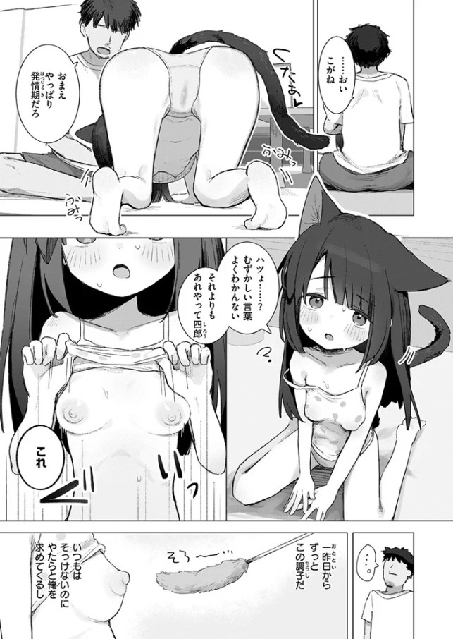 拾い猫[ゆなち]