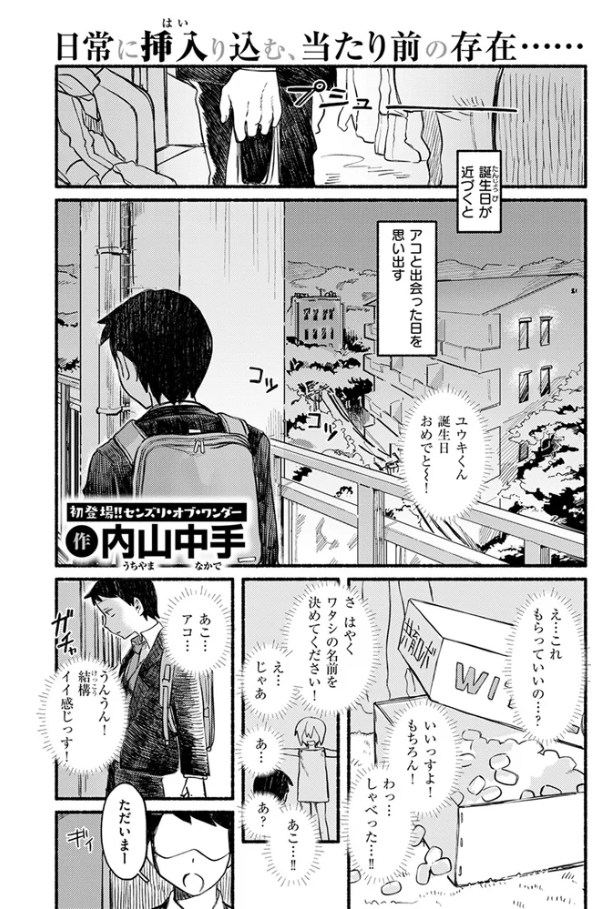 ノーリコール・ノーリターン[内山中手]