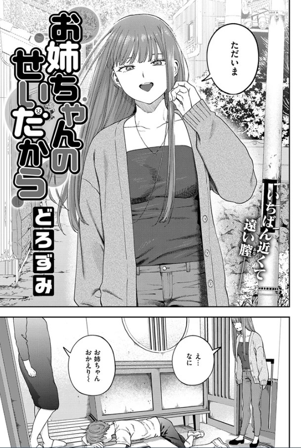 お姉ちゃんのせいだから[どろずみ]