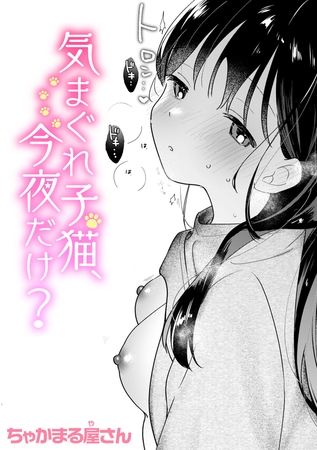 ［気まぐれ子猫、今夜だけ?］ちゃかまる屋さん