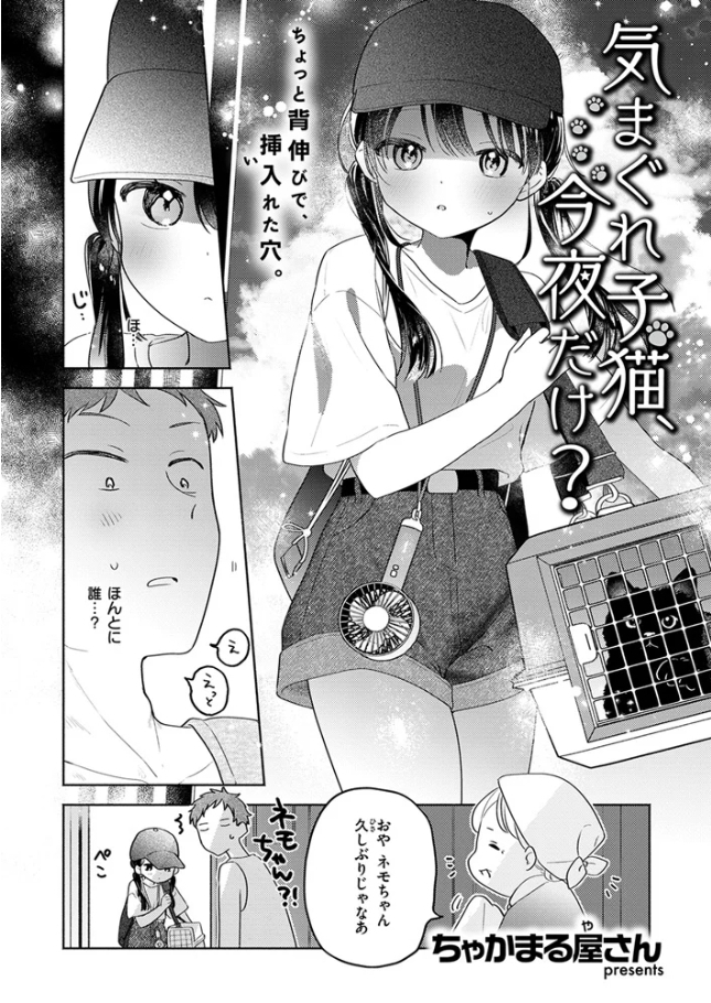 気まぐれ子猫、今夜だけ?[ちゃかまる屋さん]