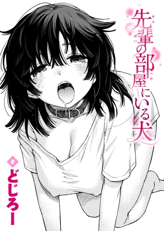 ［先輩の部屋にいる犬］