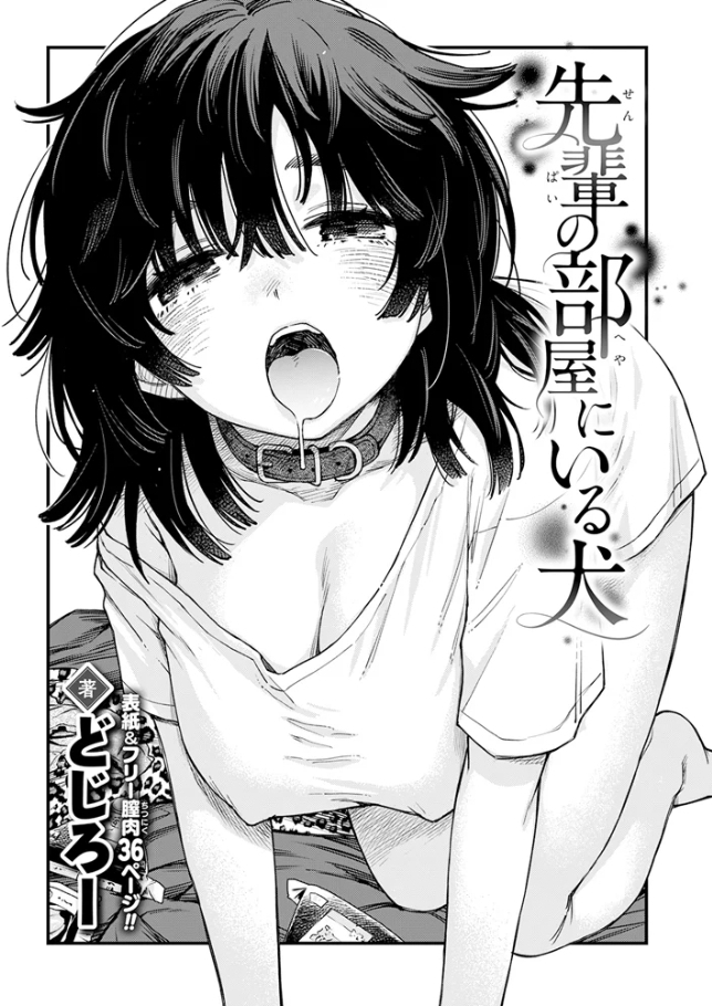 先輩の部屋にいる犬[どじろー]