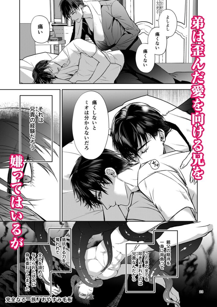 完全なる一族 / おやすみ毛布