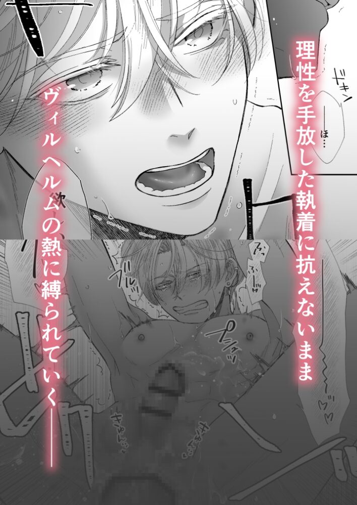 辺境伯騎士の執着婚II / シシカカ
