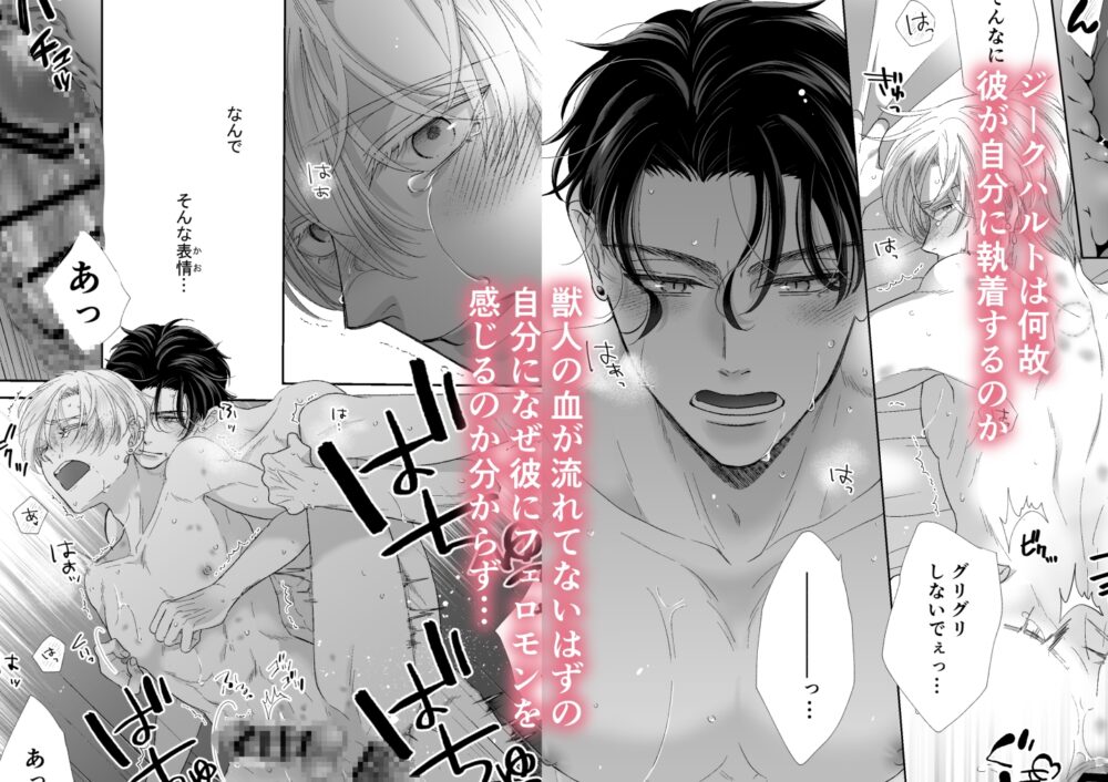 辺境伯騎士の執着婚II / シシカカ