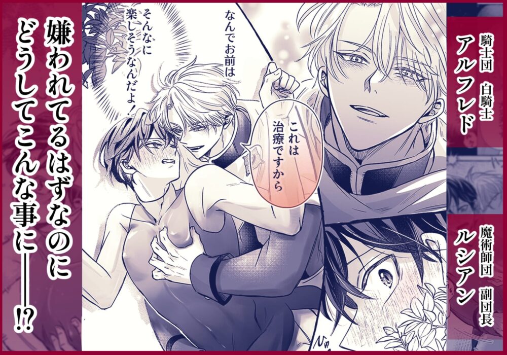 これは治療です ～嫌われてるはずの白騎士に、治療と称して抱かれています～ / こもれびの庭