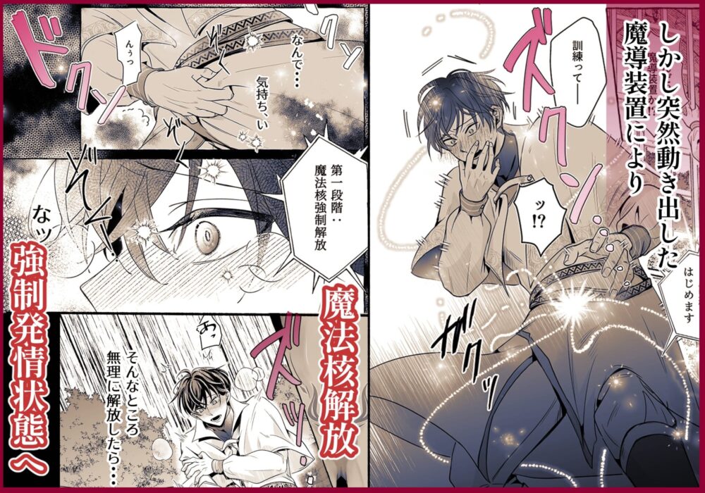 これは治療です ～嫌われてるはずの白騎士に、治療と称して抱かれています～ / こもれびの庭