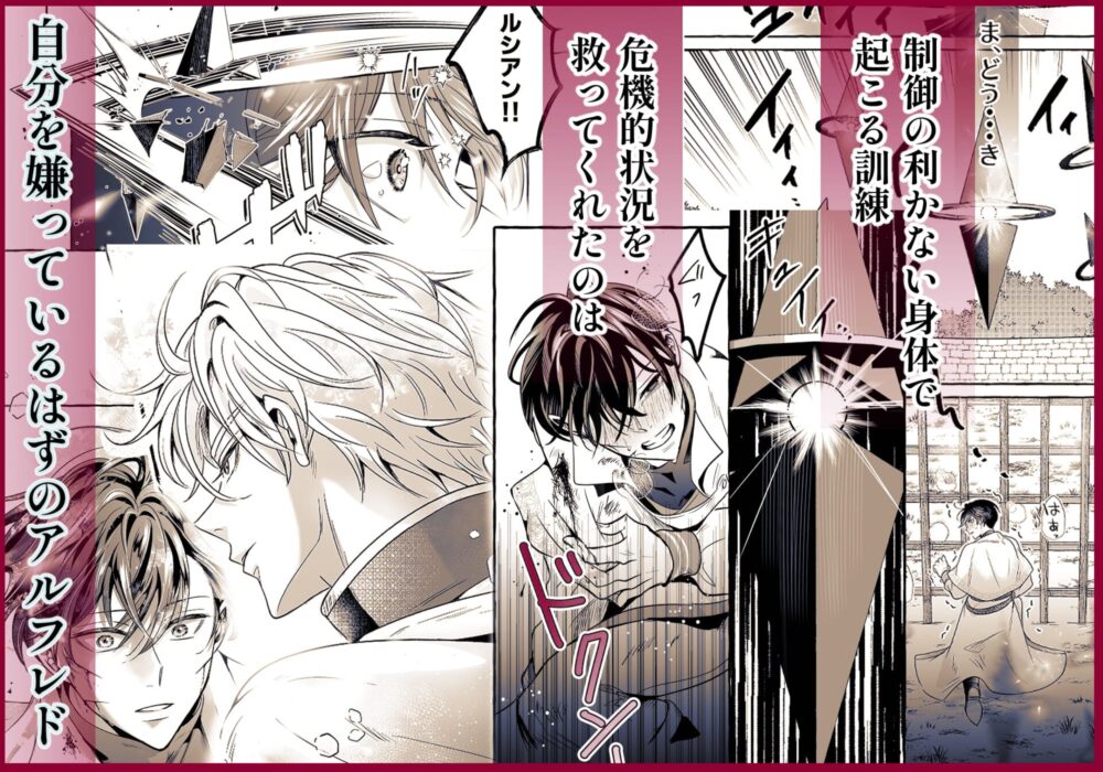 これは治療です ～嫌われてるはずの白騎士に、治療と称して抱かれています～ / こもれびの庭