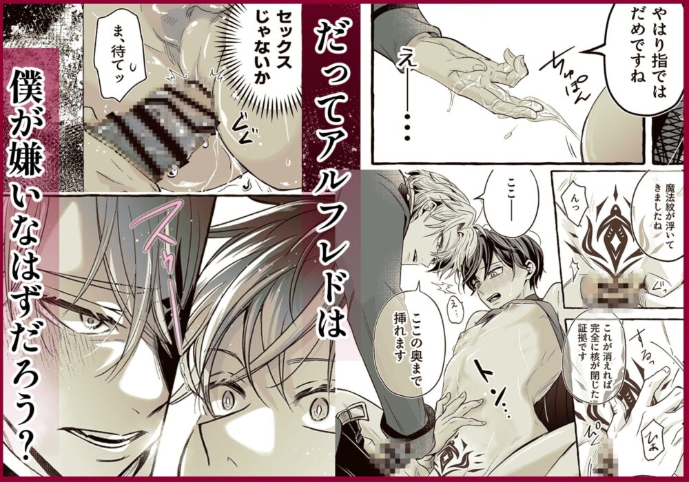 これは治療です ～嫌われてるはずの白騎士に、治療と称して抱かれています～ / こもれびの庭