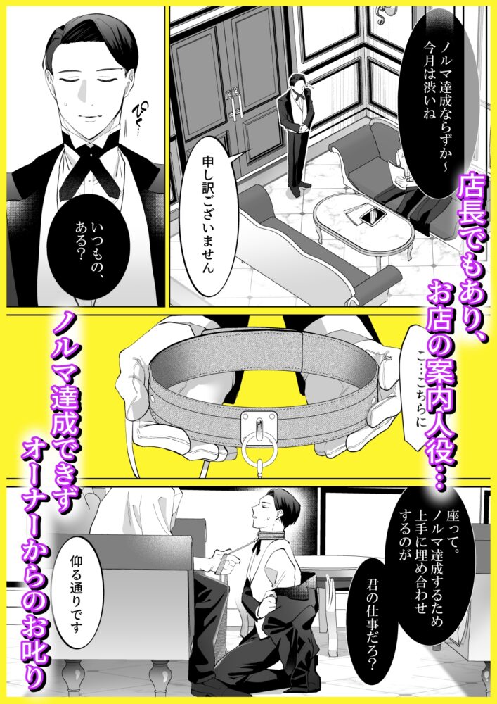 おとなの御遊戯 / shy